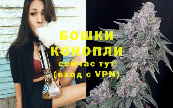 гашик Кулебаки