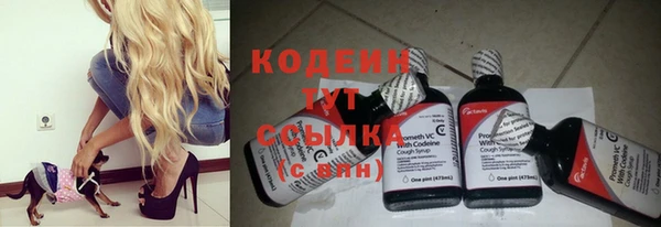 не бодяженный Кукмор