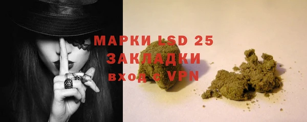 гашик Кулебаки