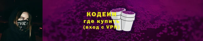 гашик Кулебаки