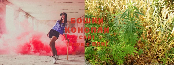 гашик Кулебаки