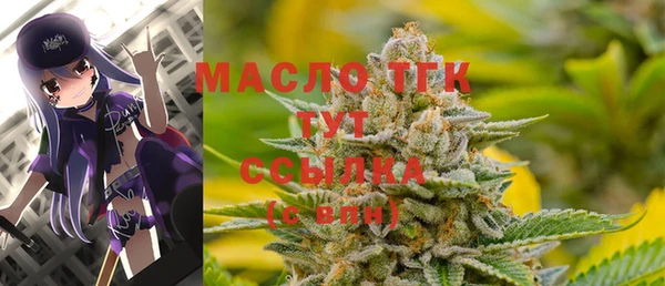гашик Кулебаки