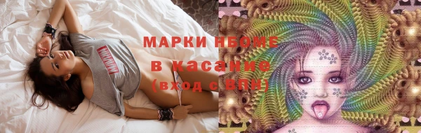 гашик Кулебаки