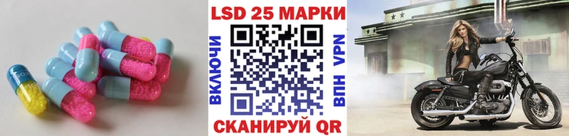 Купить закладки Нелидово ЛСД экстази кислота