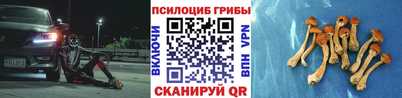 Купить  Нелидово  Псилоцибиновые грибы GOLDEN TEACHER 